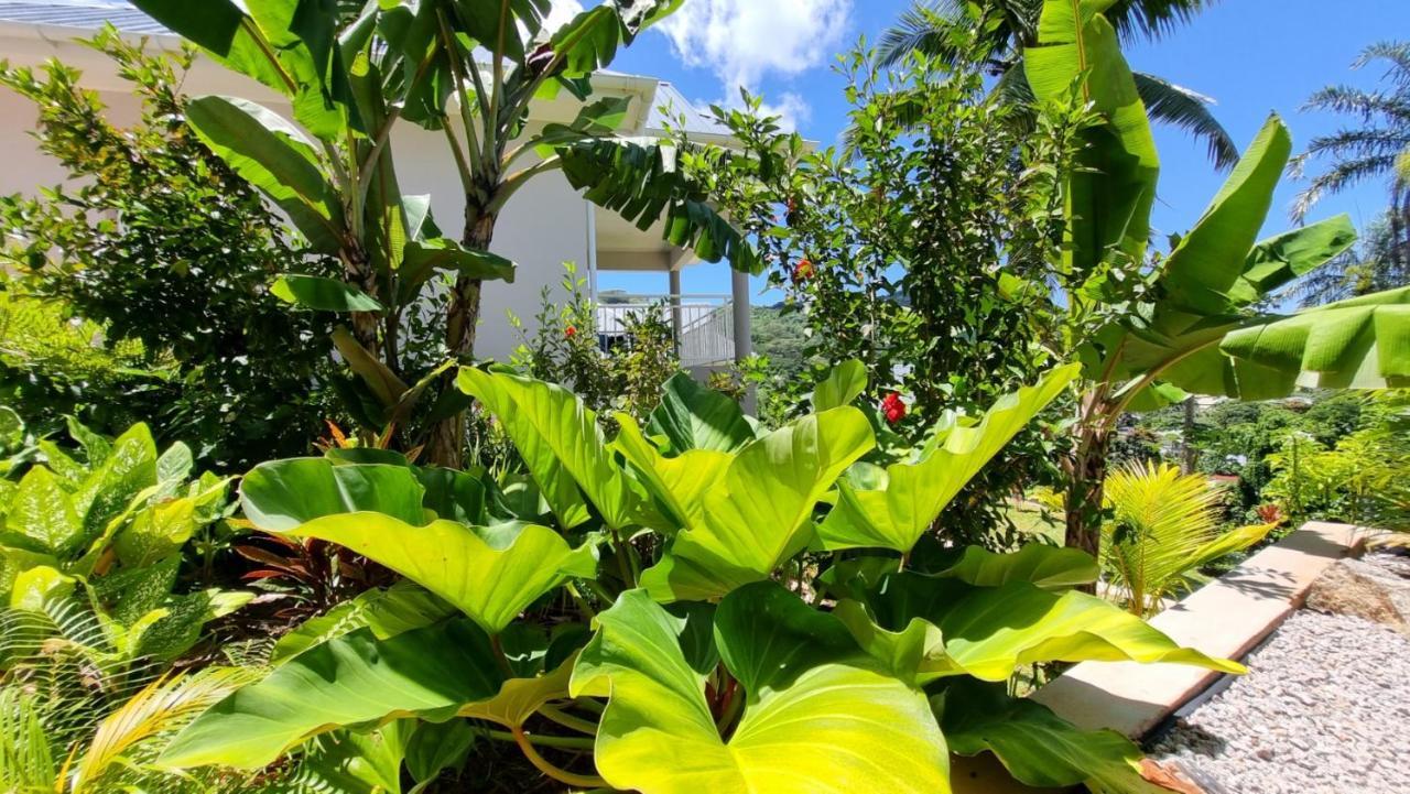 Hotel de apartamente La Trouvaille Anse a La Mouche